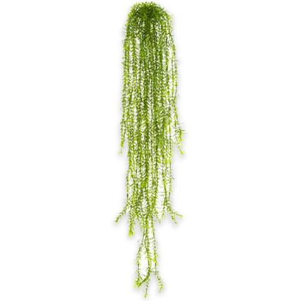 38" Weeping Juniper Hanging Bush - Green