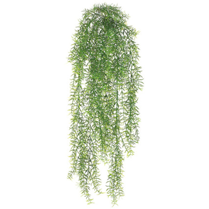 30" Sprengeri Hanging Bush - Green