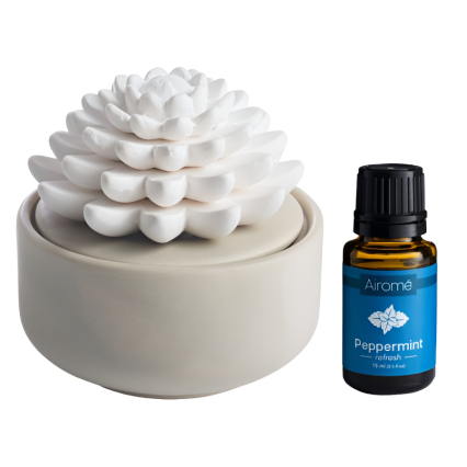 Porcelain Essential Oil Diffuser - Succulent