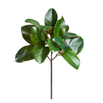 16" Magnolia Leaf Pick- Green