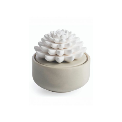 Porcelain Essential Oil Diffuser- Succulent