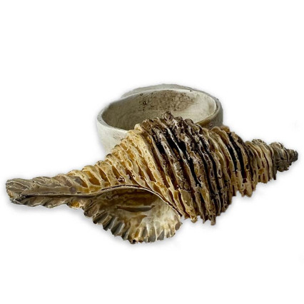 3.5" Nautical Napkin Ring - Shell