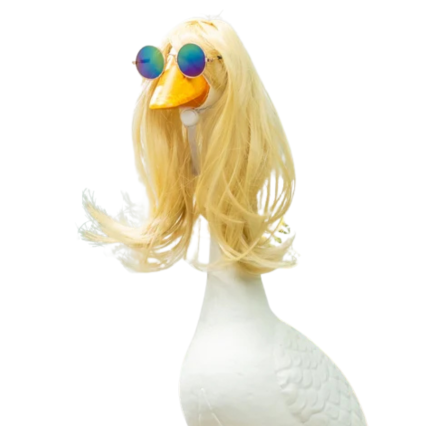 Goose Accessory- Fashion Icon