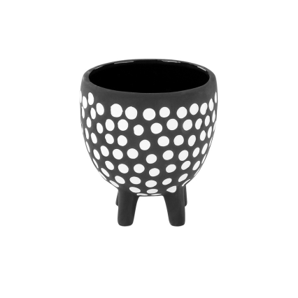 Black w/ White Dot Footed Cache
