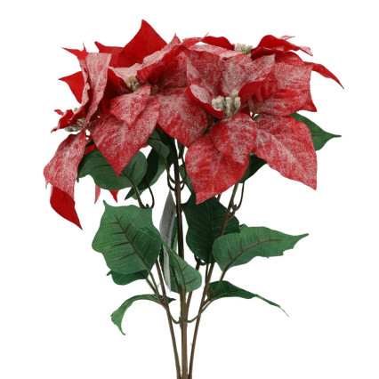 21" Frosted Poinsettia Bush - Red