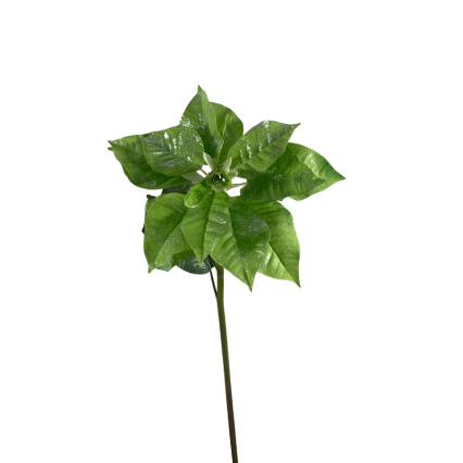 24" Glittered Poinsettia Spray