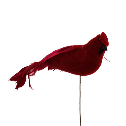10" Cardinal Pick