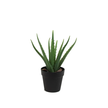 14" Artificial Aloe Vera Plant