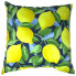 17" Citrus Sapphire Outdoor Pillow
