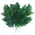 15" Leather Fern Bundle