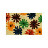 Colorful Daisies Doormat
