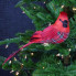 14.5" Cardinal Ornament w/Clip - Plaid Bodice