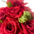 17" Rose Bush - Red