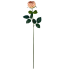 30" Cabbage Rose Stem - Blush Pink