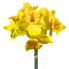 16" Daffodil Bundle -Yellow