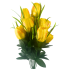 19" Tulip Bush - Yellow