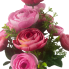 17" Ranunculus Bush - Pink