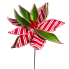 22" Red & White Stripe Poinsettia Stem