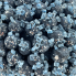 6" Iced Berry Ball Ornament - Blue