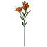 28" Alstroemeria Spray- Orange