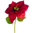 30" Red Poinsettia Natural Stem