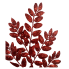22" Honey Locust Glitter Spray- Red