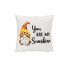 16 " You Are My Sunshine Pillow