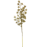 31" Stary Spray