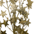 31" Stary Spray