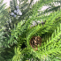 24" Real Touch Pine Wreath w/ Bells
