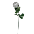 25" White Rose Stem