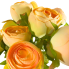 16" Yellow Ranunculus Bush