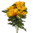 20" Satin Gerber Daisy Bush