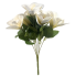 17" Chinese Magnolia Bush