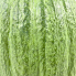 10" Green Pumpkin Decor