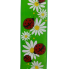 2.5" x 10yd Green Daisy Ladybug