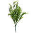 20" Boxwood Leaf Bush