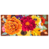 Mariposa Melody Sassafras Switch Mat
