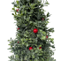 19" Frosted Boxwood Tree w/ Berries