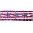 2.5" x 10yd Blue & White Stars on Stripes Ribbon