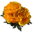 22" Peony Bush - Yellow