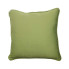 17" Forsyth Kiwi Outdoor Pillow