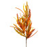 30"H Feather Reed Grass Pick - Orange