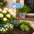 Blue & White Pumpkin Signature Sign