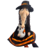 12" Sitting Witch