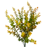 22" Fall Eucalyptus Bush