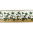 2.5" x 10yd Small Magnolias on White & Tan