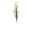 30" Snowball Alium Bush - Cream
