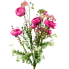 21" Ranunculus Filler Bush - Pink