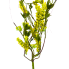 21" Lavender Twig Spray - Yellow